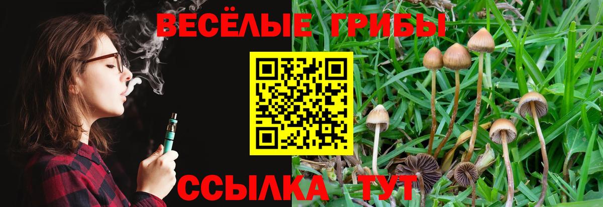 даркнет сайт  Вход с VPN  Апрелевка  Псилоцибиновые грибы GOLDEN TEACHER 